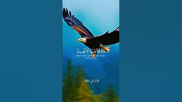 قران كريم ارح قلبك وسمعك #قران_في_دقيقة #quran #احمد_العجمي #قرآن @قران_في_دقيقه