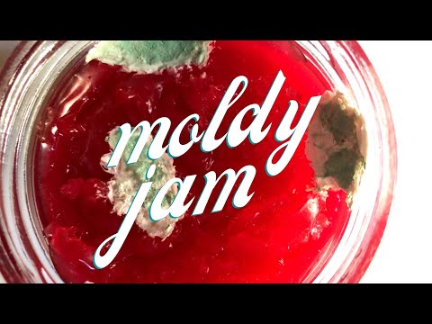 ვიდეო: რა უნდა გააკეთოს Moldy Jam