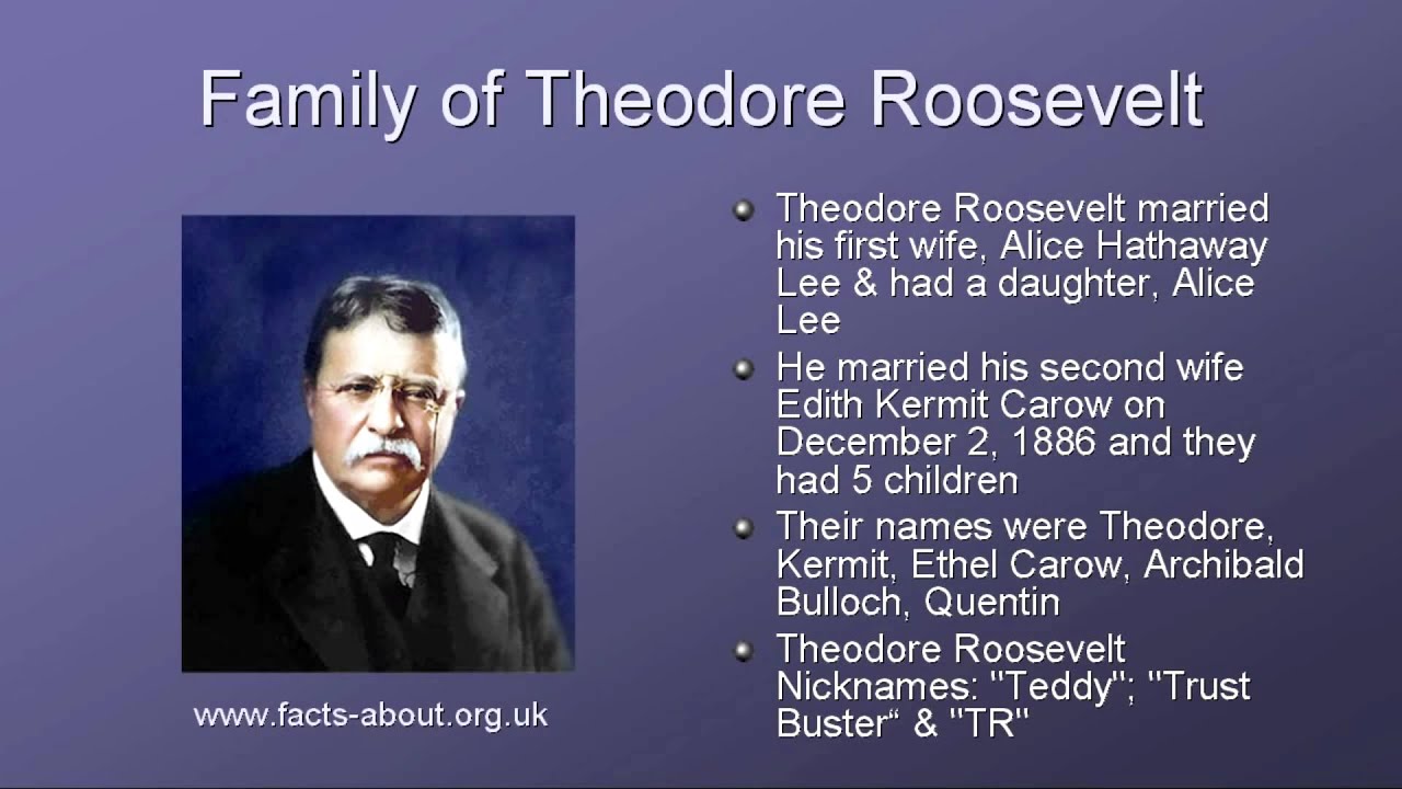 What did Theodore Roosevelt do?