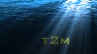 Psunami after effects Template Download