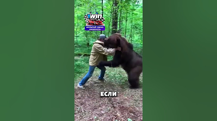 Как спастись от медведя 😬