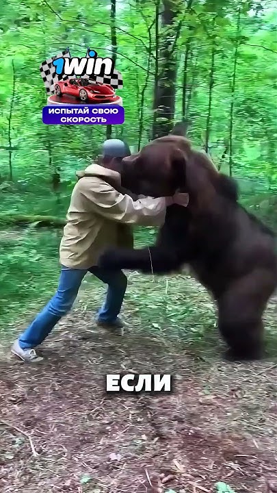 Как спастись от медведя 😬 - YouTube
