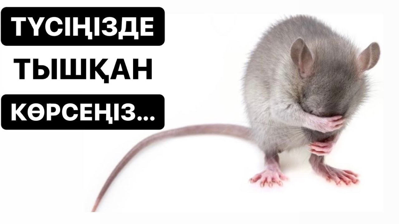 Жаман әңгіме