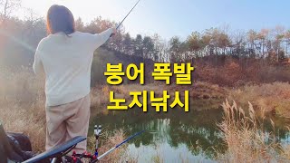 여자낚시꾼 향순이 소류지 에서 노지낚시 붕어노지 버들치 민물낚시 대낚시 낚시꾼 여조사 carp fishing