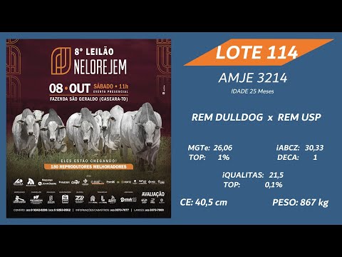 LOTE 114