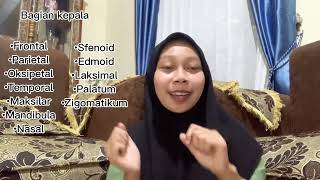 Menghafal 206 tulang pada rangka manusia