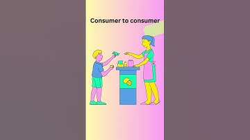 Exploring the 6 Types of E-commerce Businesses