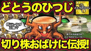 【ドラクエタクト】秘伝書「どとうのひつじ」きりかぶおばけに覚えさせてみた