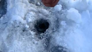 Хариус 1кг  Зимняя рыбалка на р Колыма winter fishing(На нашем канале собраны ролики связанные с охотой и рыбалкой. Подписывайтесь на канал., 2015-11-15T15:34:28.000Z)