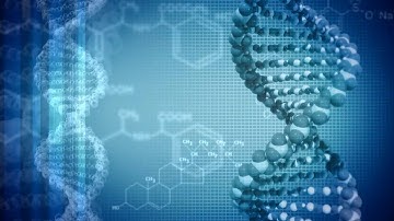 Bioinformatics @ SFU: Dr. Cenk Sahinalp