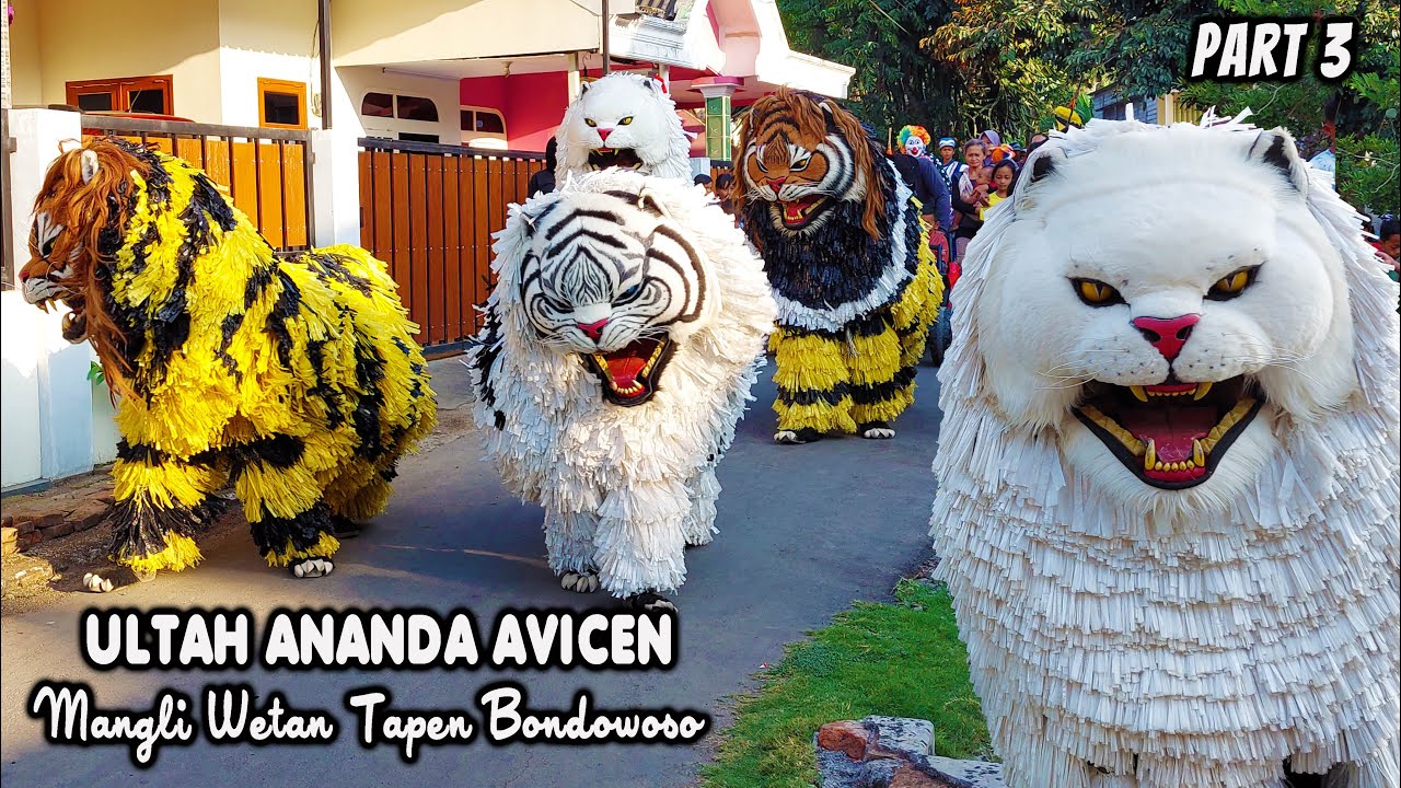 KIRAB CAN MACANAN SINGO MANGGALA DAN DRUMBAND GEMA NADA DI MANGLI WETAN TAPEN BONDOWOSO PART 3