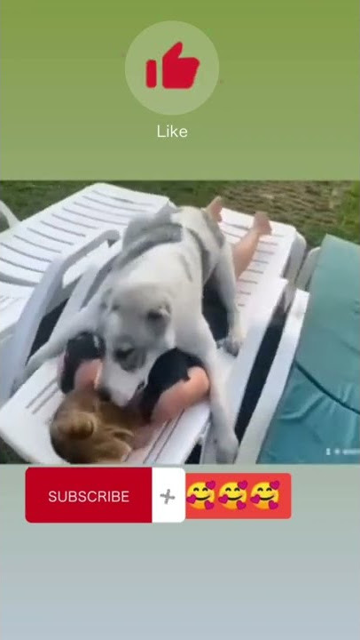 Dog licking a girl's body😁🤣