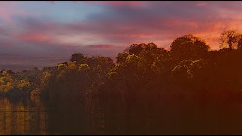 "A New World Awaits" by Peisik & ____blnk - PC Demoscene video in HD - Revision 2021 2nd Place!