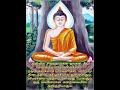 நடுநிலையோடு வாழுங்கள் | balanced life | Tamil Motivational shorts whatsapp status| Buddha quotes