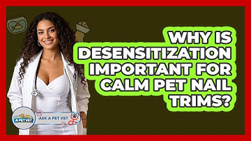 Why Is Desensitization Important For Calm Pet Nail Trims? - Ask A Pet Vet