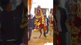Download Lagu ATRAKSI JARAN GOYANG DI ACARA RESEPSI PERNIKAHAN PANCOR BERBELUK AROSBAYA  BANGKALAN MP3 Download Lagu ATRAKSI JARAN GOYANG DI ACARA RESEPSI PERNIKAHAN PANCOR BERBELUK AROSBAYA  BANGKALAN MP3
