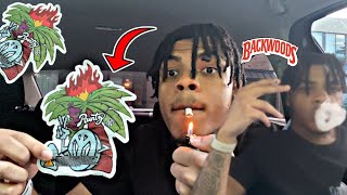 Tropical pack had me gone worse hotbox ever | Tropical runtz review