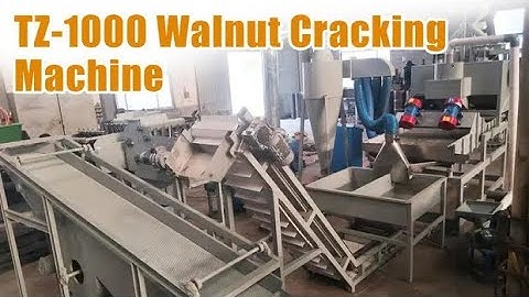 High Capacity TZ-1000 Walnut Shelling Machine Test | 800–1000 kg/h Cracking