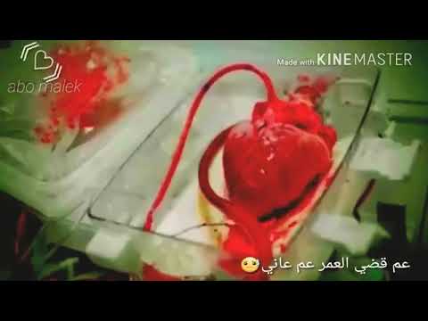 حاجي وجع يا شرياني حالات وتس لب