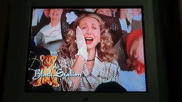 Opening To The Pebble & The Penguin 1995 VHS