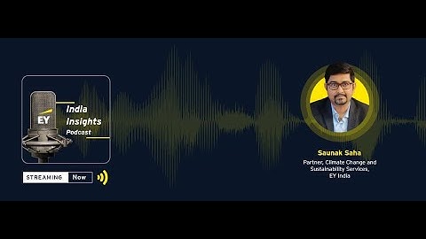 ESG Insights: The commitment to net zero: is it a greenwash?