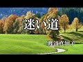 迷い道  / 渡辺真知子 (歌詞入り)