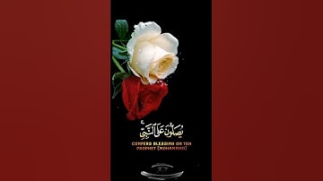 صباح الخير🌹 اجمل حالات واتس اب مقاطع قصيره🌹 قران كريم ان الله وملائكته يصلون على النبي🌹 بدون حقوق