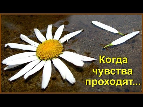 КАК ВЕДУТ СЕБЯ ЗНАКИ ЗОДИАКА, КОГДА ИХ ЧУВСТВА ПРОХОДЯТ