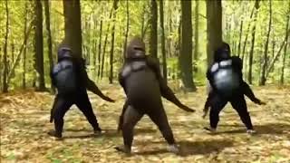 Education Connection Commercial with dancing gorillas 1 Hour