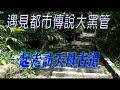 天母古道 上陽明山的另一種選擇，探訪日據時代的水源重地【GOGO爬山趣】#3