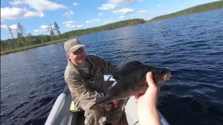 видео: Рыбаки ОБАЛДЕЛИ от этих ОГРОМНЫХ окуней и щуки. Рыбалка в Карелии на спиннинг. .#рыбалкавкарелии2022 картинка: Рыбаки ОБАЛДЕЛИ от этих ОГРОМНЫХ окуней и щуки. Рыбалка в Карелии на спиннинг. .#рыбалкавкарелии2022
