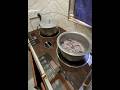 Hoffman Double Infrared Cooker Test – Fast, Hot &amp; Powerful! 🔥🍳 #shorts