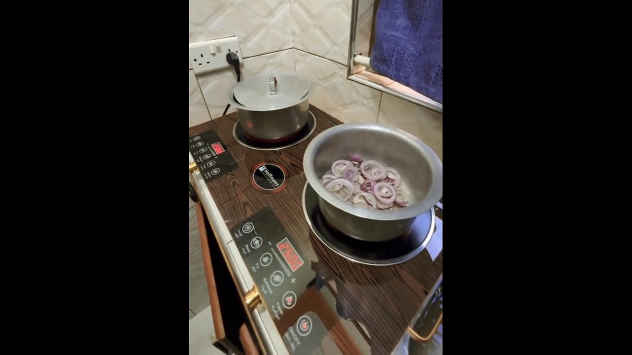 Hoffmans Infrared Induction Double Cooker
