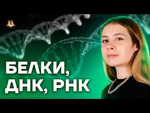 Видео: Кое е по-стабилно ДНК или РНК?