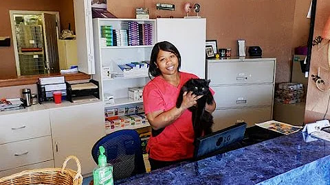 Jarrett Small Animal Hospital | Lawrence, KS | Vet...