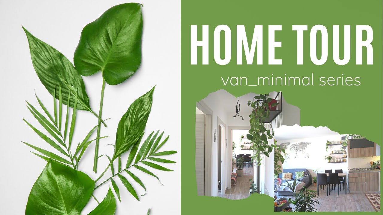 Parete verde: design per la tua casa - Planeta SRL Blog