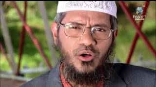 The Last Testament of God - A Friendly Message by Dr. Zakir