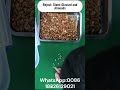 Nuts Sorter Almond Sorting Remove Stones &amp; Glasses #nutssorter --WhatsApp:0086 18326129021