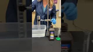 Enzyme Catalysis Lab Demo