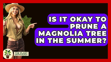 Is It Okay To Prune A Magnolia Tree In The Summer? - The Plant Enthusiast