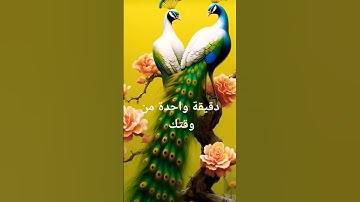 دقيقة واحدة من وقتك استمع فيها الى القرآن الكريم