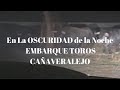 EN LA OSCURIDAD DE LA NOCHE Embarque TOROS VICTORINOS para CAÑAVERALEJO Colombia