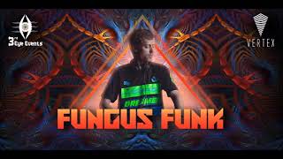 The Prodigy - Mindfields (Fungus Funk Live Remix)