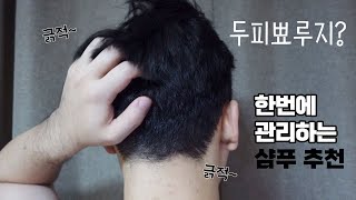 💢두피뾰루지는 더노우 제주어성초 샴푸로 관리 끝내요🚿
