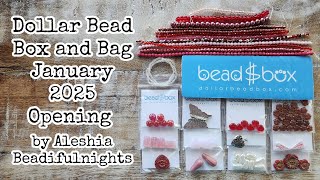 Dollar Bead Box and Bag January 2025 Opening