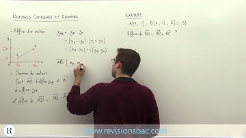 [RévisionsBac.com] - Affixe d