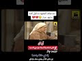 مشهد كامل أمينة وسي السيد حدوتة مصرية كانت في الأربعينات للزمن الماضي 