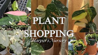 Plant Shopping| Harper's Nursery