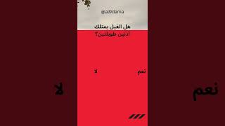 سؤال وجواب في  ثقافة عامة  |question and answer