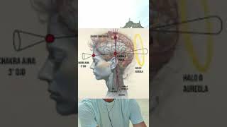 Pineal Gland And Awakened Consciousness